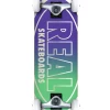 Real Golden Oval Outline Green/Purple Skateboard 8.0in