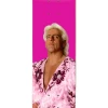 Enjoi The Nature Boy Ric Flair Deck 8.25in